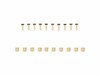 Trek Brake Part Tektro Hose Fitting Kit Gold 10-Pack