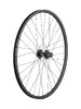 Bontrager Wheel Rear Bontrager Kovee TLR/DCL-141Q 29 Disc 32